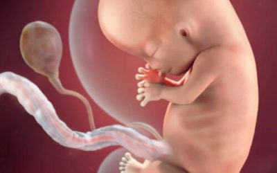 Blog 5 10 Weeks Pregnant