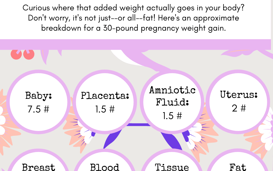 Pregnancy Weight Gain
