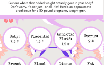 Blog 2 Pregnancy Weight Gain