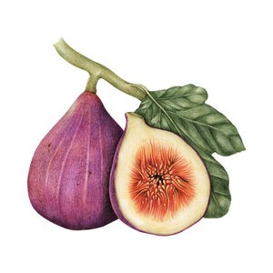 week12fig